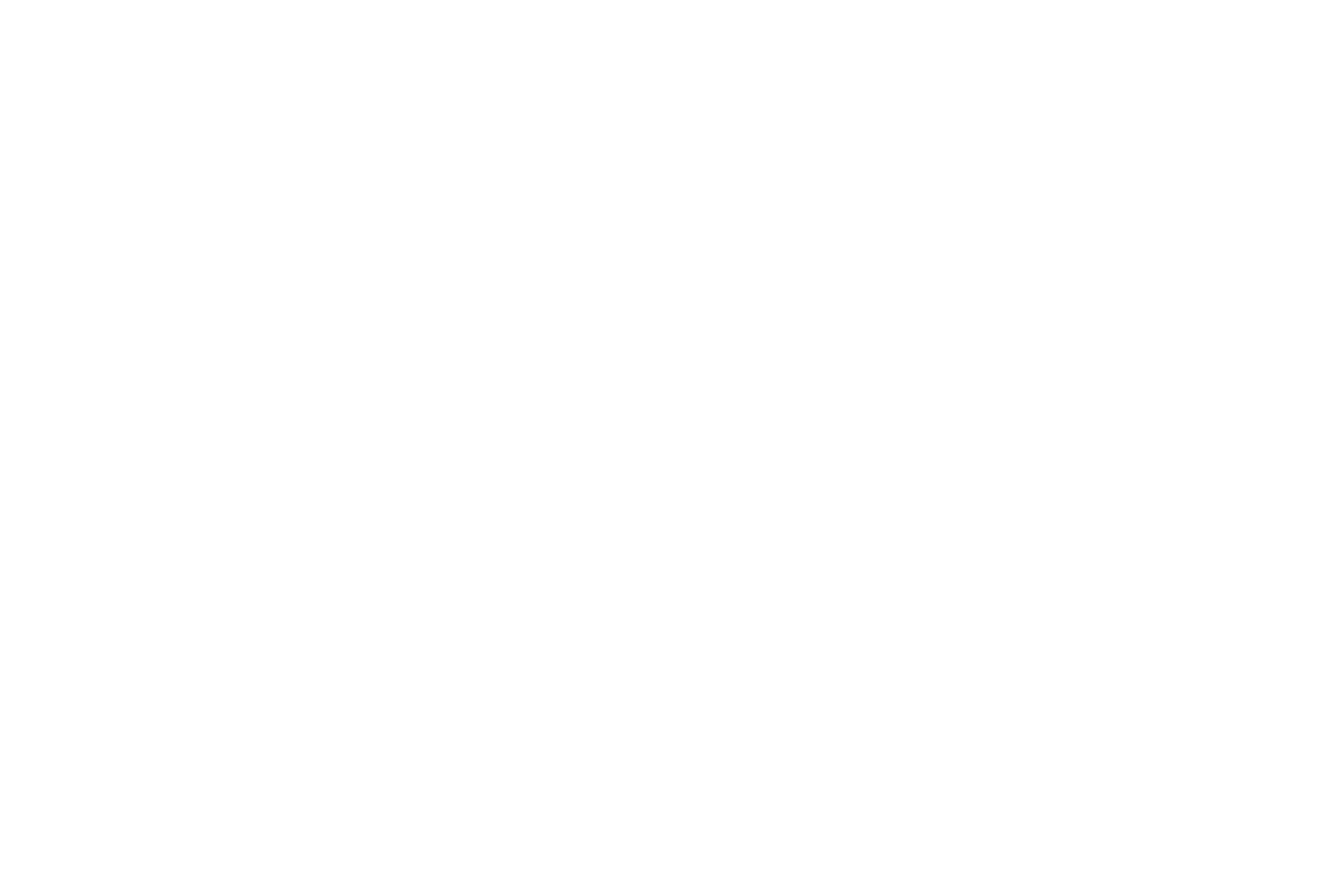 Tidal